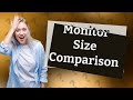 What is the most ideal monitor size?