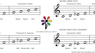 Musical Building Blocks – Creating Melodies with Tetrachords Practice