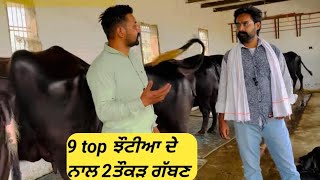 #9 top ਝੌਟੀਆ ਦੇ ਨਾਲ 2ਤੌਕੜ ਗੱਬਣ#