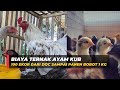 Biaya Modal Ternak Ayam KUB 100 Ekor Bobot 1 Kg dari DOC Sampai Panen