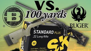 Bergara BXR VS. Ruger 10/22 Target Lite at 100 Yards with SK Standard Plus