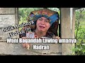 Umanya Hadran .gasan Abahnya Hadran nang kada sing bulikkan