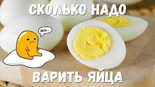 СКОЛЬКО НАДО варить ЯЙЦА