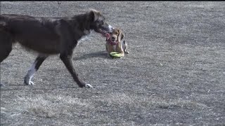 Lincolnites Head Outdoors to Enjoy Mild January Day