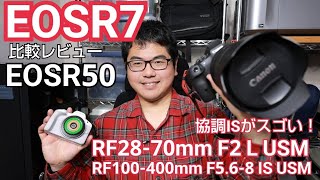 Canon EOS R7 比較レビュー!　EOS R50 より本気撮影なら！RF28-70mm F2 L USM ちょい撮影レビュー