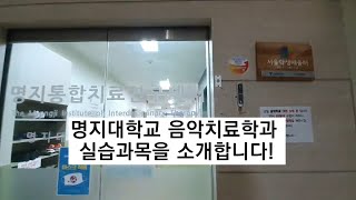 실습과목(음악치료기술, 임상실습 1, 2, 3, 인턴쉽) 소개