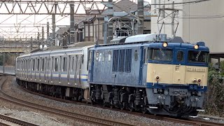 EF64 1030牽引 E217系クラY-134+Y-106編成 長野配給 2024.2.1