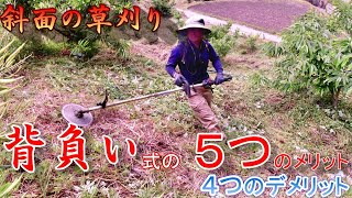 【背負い式草刈り機の５つのメリット４つのデメリット（急斜面の栗山の草刈りにのせて）】（背負い式・肩掛け式・草刈り機・草刈り）