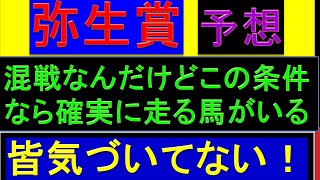 2023年 弥生賞 予想【皆が気づいていない好走確実馬/ディープインパクト記念】