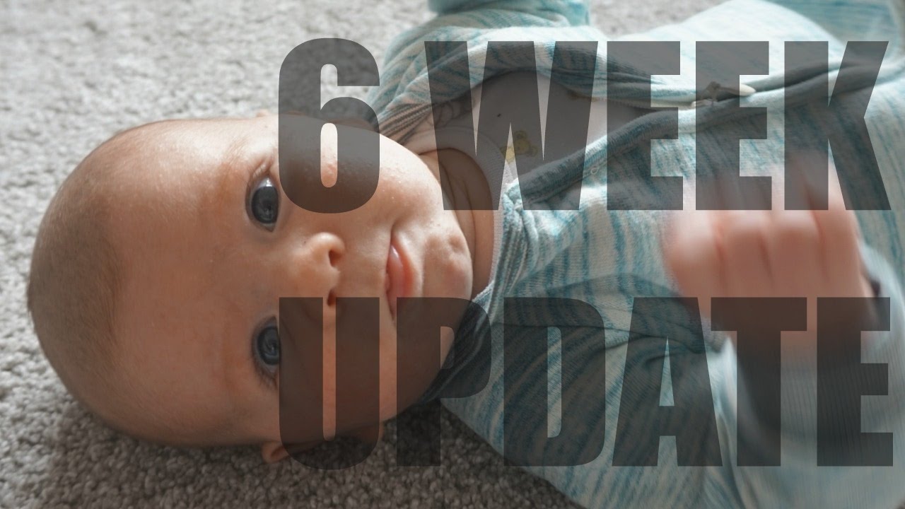 6 Weeks Postpartum And Baby Update Youtube