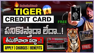 🔥 Indusind Tiger Credit card telugu | Lifetime Free Credit Card | Tiger Credit Card | IndusInd bank