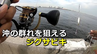 東京の公園からジグサビキで釣りしてみたら...