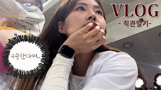 Vlog. 연패 끊으러 승요 출동...🧚‍♀️ 결과는?! | 230420 | 삼성 vs. 키움 |  직관 일기, 야구장 브이로그