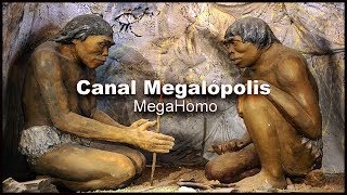 ESPAÑA (La Evolución Prehistórica en la Península)  -  Documentales