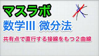 基礎から学ぶ　数学III 共有点で直交する接線