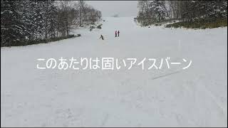 １２月２０日のトマムスキー場です。鹿追町でレイニングホースを生産して調教しているフォーチュンランチです。冬はスキーざんまい。それ以外は乗馬ざんまいです。