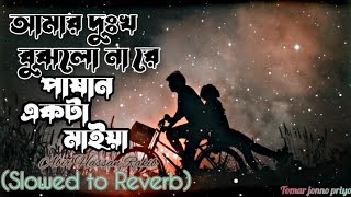 Pashan Akta Maiya Lofi~Verson | (আমার দুঃখ বুঝলো নারে) | Abir Hassan Rakib | New Lofi Bangla Song