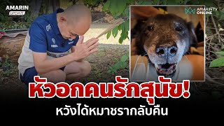 เจ้าของสุนัขชรา หวังได้หมากลับคืน หลังตกใจเสียงพลุปีใหม่ | อมรินทร์อัปเดต