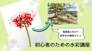 【初心者のための水彩画講座】簡単/彼岸花の描き方/花