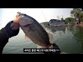 고삼지 어쩌다 보니 짬낚 보트 boat 배스낚시 bass fishing 런커헌터 텅스텐 카이젤리그의 위력~