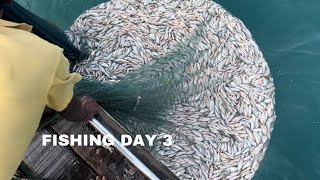 Fishing day 3 | catch more fish | men vs sea