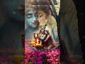 tu ishq ke sare rang de gaya song love krishna youtube status