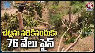 Electricity Department Officials Gets Fined For Destroying Haritha Haram Plants | Nirmal | V6 News