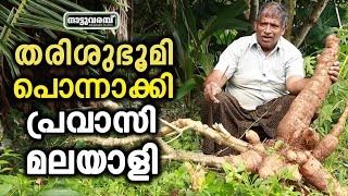 തരിശുഭൂമി പൊന്നാക്കി പ്രവാസി മലയാളി | PHILIP | FARMER KERALA | KARAKULAM KRISHIBHAVAN | NATTUVARAMBU