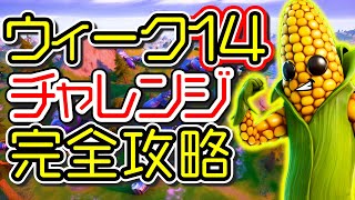 【最後のチャレンジ】ウィーク14 チャレンジ完全攻略「エクストラバガンザウィーク4」「リーク」「場所 解説」「フォートナイト」