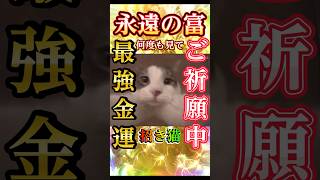 ⚠️【幸運の招き猫様】⛩️何度も見るほど金運成就！✨莫大な富と幸運があなたの人生に訪れる🍀#金運上昇 #金運 #お金 #開運 #運気アップ #shorts  #引寄せ #幸運の前兆