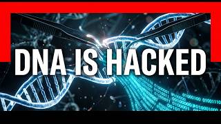Scientists Just Found a Hidden Code in Human DNA