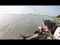 LANDBASED CASTING KERAPU Pelantar Shell Bagan | Ultralight Fishing