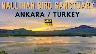 Witness Magnificent Sunset | Ankara Nallihan | Turkey Destinations | 4K ULTRA HD