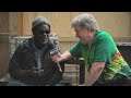 me1 tv talks to... the wailers aston