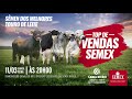 Top de Vendas Semex - Leite