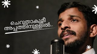 ചെറുതാകുമീ അപ്പത്തിനുള്ളിൽ | cheruthakumee appathin ullil cover song | Fr.Sinto Cheerakathil