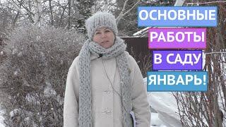 ПОСЕТИТЕ СВОИ УЧАСТКИ! ОСНОВНЫЕ РАБОТЫ В САДУ В ЯНВАРЕ!