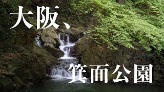 【日本旅遊】【行山】大阪北部，箕面公園（みのおこうえん）　｜　箕面の滝、夏の緑、水の音