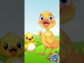 كاكى كاك 🐣 | اغاني اطفال 🐥 | بيبي | عبد المنعم مدبولى | سوبر ديدو | بطة أطا الانتيكا