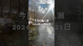 【奥入瀬速報】冬の水は透明度が高い？(2024年11月21日)#奥入瀬渓流 #移住 #脱サラ #青森県十和田市 #十和田市 #十和田湖 #八甲田山 #おいらせ渓流 #冬