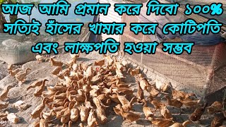 আজ আমি প্রমান করে দিবো ১০০% সত্যিই হাঁসের খামার করে কোটিপতি এবং লাক্ষপতি হওয়া সম্ভব!  duckfarming