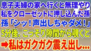 【スカッとする話】息子夫婦の家へ行くと無理やり私をクローゼットに押し込んだ孫「シッ！声出しちゃダメ！」5分後、こっそり隙間から覗くと→私はガクガク震え出し…