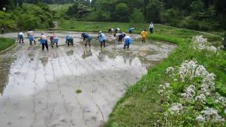 まつだい棚田バンク2010＜田植え＞｜田んぼ移動