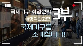 국제기구를 소개합니다! 직원, 직급, UN본부?