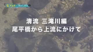 なたね講座 尾平橋水中 20161008