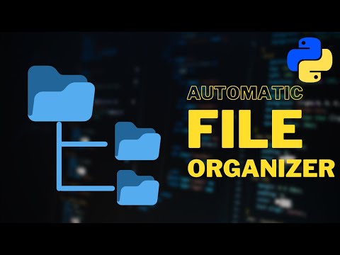 Python Automation Project: File Organizer using Python Codex Python