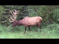 2014 07 banff falls and wildlife