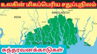 சுந்தரவனக்காடுகள் | Sundarbans Forest | Tamil Geography News