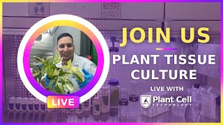 LIVE Plant Tissue Culture with Francisco