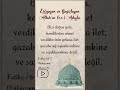 Fatiha 6- 7. Ayetler #kuran #islam #shorts #keşfet